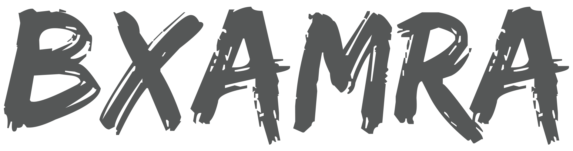 Developer Logo